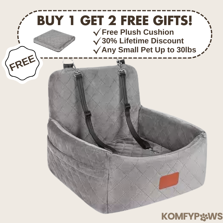 Komfy Kruiser